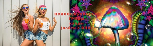 сатива Каменногорск