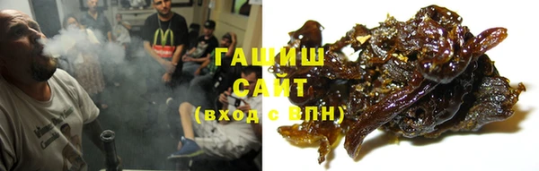 ГАЛЛЮЦИНОГЕННЫЕ ГРИБЫ Каменка