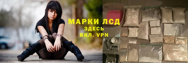 сатива Каменногорск