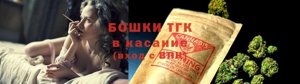 ГАЛЛЮЦИНОГЕННЫЕ ГРИБЫ Каменка