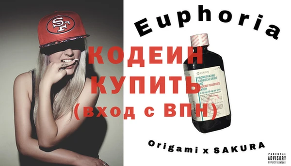 ГАЛЛЮЦИНОГЕННЫЕ ГРИБЫ Каменка