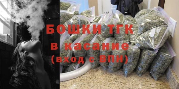 ГАЛЛЮЦИНОГЕННЫЕ ГРИБЫ Каменка