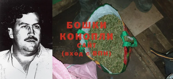 сатива Каменногорск