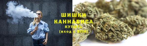 ГАЛЛЮЦИНОГЕННЫЕ ГРИБЫ Каменка