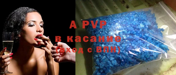 ГАЛЛЮЦИНОГЕННЫЕ ГРИБЫ Каменка
