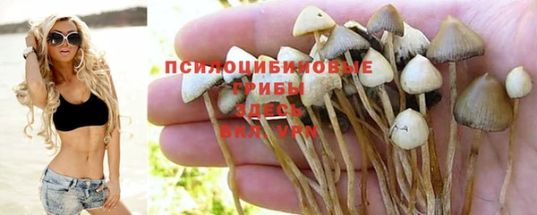 МДМА Каменск-Шахтинский